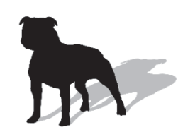 ddc_animation_circle