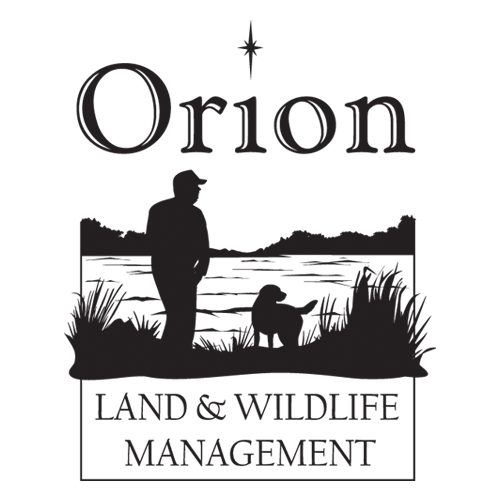 logo_orion logo_orion